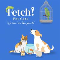 Fetch! Pet Care of Miami - North, West, South Areas