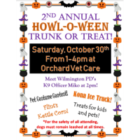 Howl-O-Ween Trunk or Treat