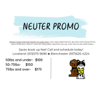 June Neuter Promo from Seven Hills Pet Clinic