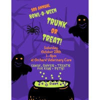 3rd Howl-O-Ween Trunk or Treat