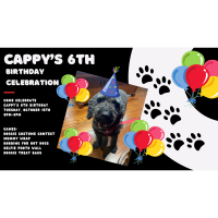 Cappy's 6th Birthday Celebration