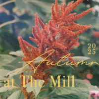 Autumn at the Mill '25