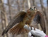 Cowan Lake Wildlife Academy