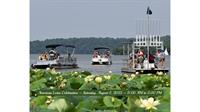American Lotus Celebration