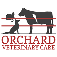 Orchard Veterinary Care LLC