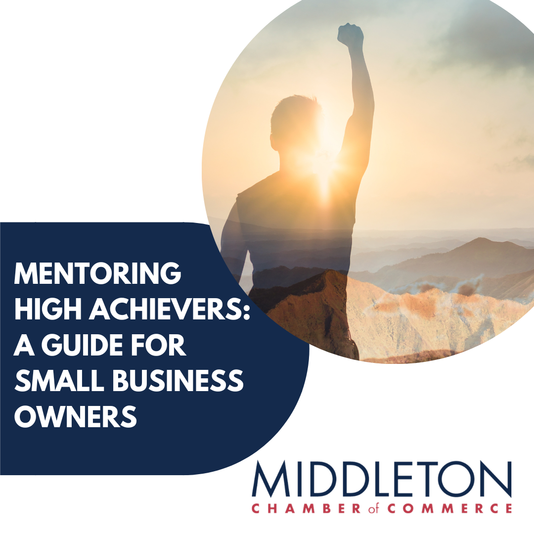 Image for Mentoring High Achievers: A Guide for Small Business Owners