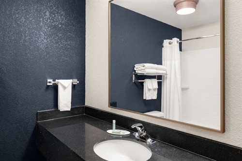 Guest Bath