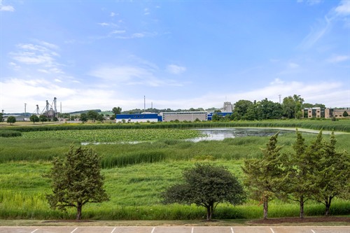 Esser Pond 
