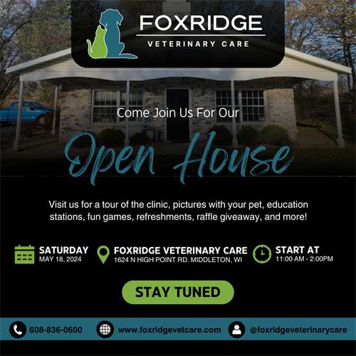 Upcoming Open House