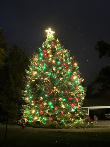 Beautiful 40 ft tree we lit up for Christmas with a handmade lit star at the top.