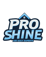 Pro Shine Professional Cleaning