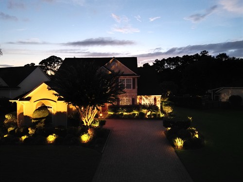 Outdoor Lights