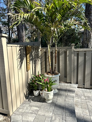 Paver Work for Deck