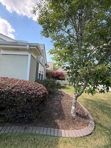 Hedging and Lawncare