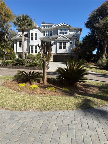 Lawn Renovation