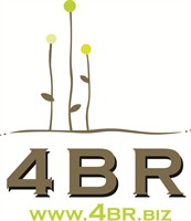 4BR Weekly Networking Meeting