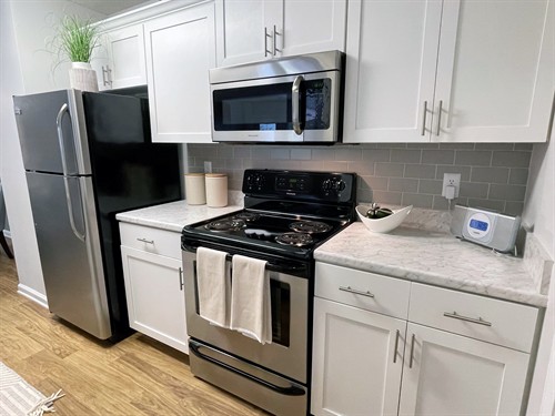 Stainless Steel Appliances