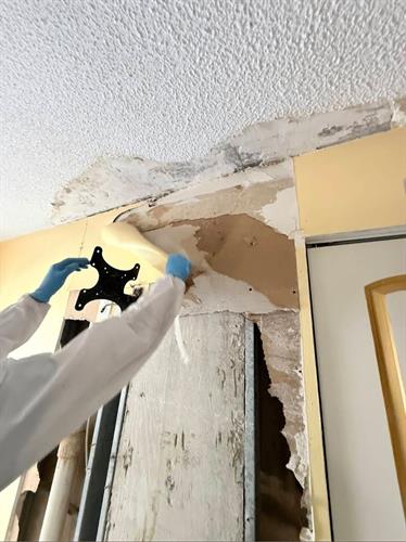 Mold remediation