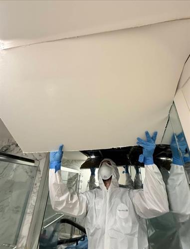 Mold remediation 