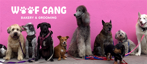 Woofgang Bakery & Grooming Plantation