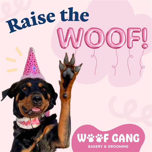 Gallery Image Brand_Affinity_10_raise_the_woof.png