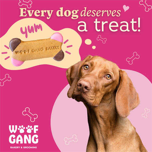 Gallery Image Brand_Affinity_11_Every_dog_deserves_a_treat.png