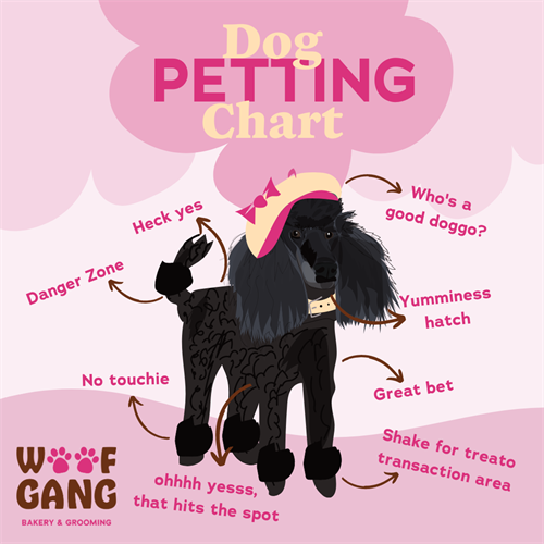 Gallery Image Brand_Affinity_13_Petting_Chart.png