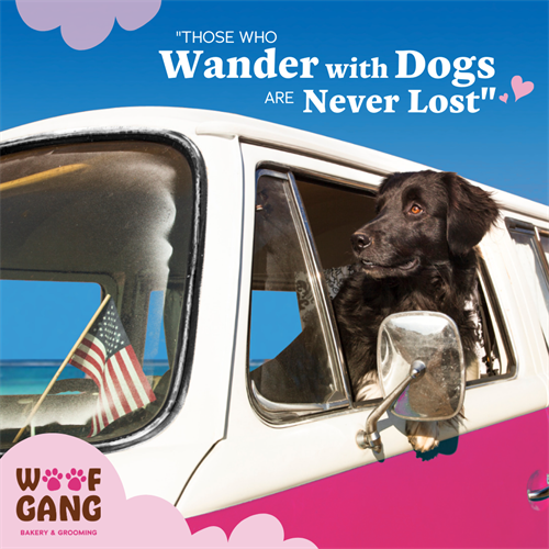 Gallery Image Brand_Affinity_16_Those_Who_Wander.png