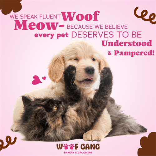 Gallery Image Brand_Affinity_19_We_speak_fluent_woof_and_meow.png