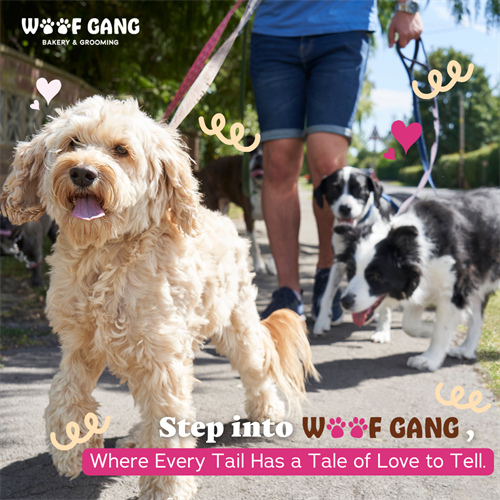 Gallery Image Brand_Affinity_20_Step_into_Woof_Gang._where_every_tail_has_a_tale_of_love_to_tell.%C2%A0.png
