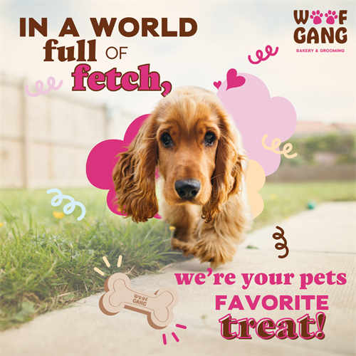 Gallery Image Brand_Affinity_21_In_a_world_full_of_fetch._we're_your_pet's_favorite_treat..png