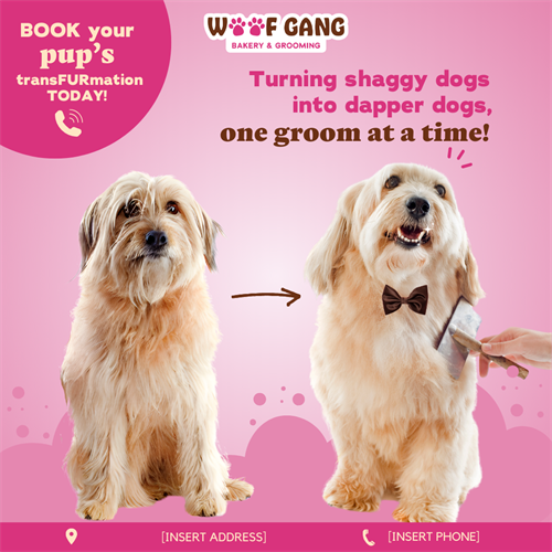 Gallery Image Brand_Affinity_27_Grooming.png