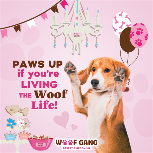 Gallery Image Brand_Affinity_29_BakeryandGrooming.png