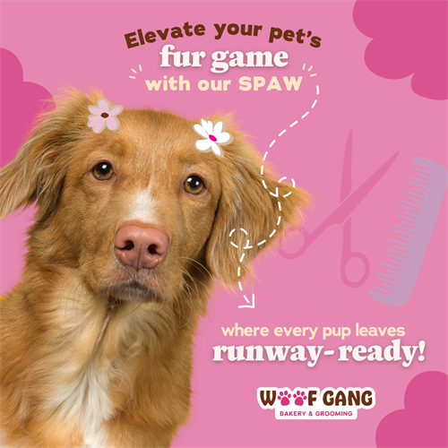 Gallery Image Brand_Affinity_33_Grooming_Elevate_Pet's_Fur_Game.png