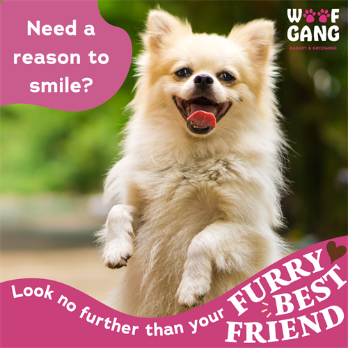Gallery Image Brand_Affinity_8_Need_a_reason_to_smile%3F.png