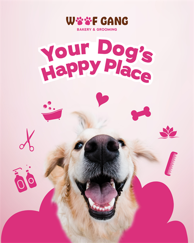 Gallery Image Brand_Affinity_Your_Dog's_Happy_Place.png