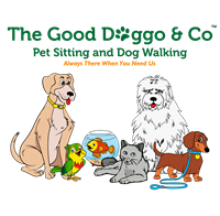 The Good Doggo & Co.