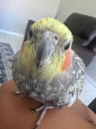 Pick-a-chu was telling us a secrete :)