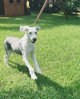 Always ready for fun!