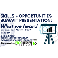 Skills & Opportunities Summit Presentation: What We Heard