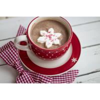 Special Friday Holiday Coffee @ the Chamber - December 21st