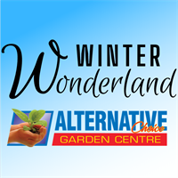 Winter Wonderland the Alternative Way!