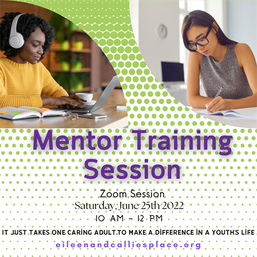 Mentor Training Session