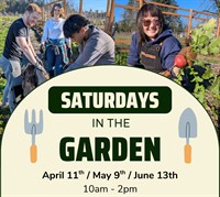 Saturdays in the Garden