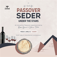 Passover Seder