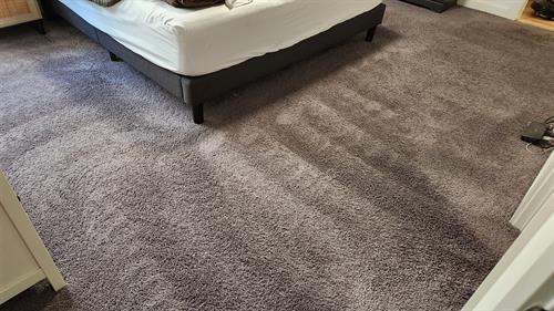 Master bedroom carpets cleaned in a home in Shoreline