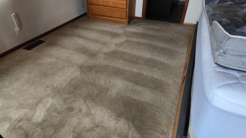 Carpets heavily soiled by owners' dogs became clean again with the right treatment.