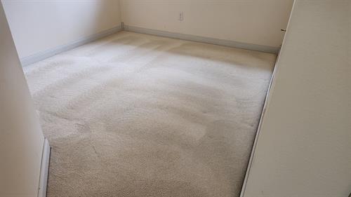 Carpets cleaned for a rental home in Renton