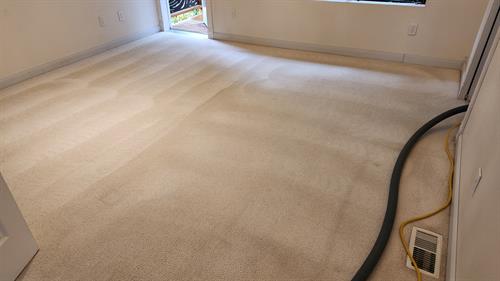 Master bedroom carpets cleaned for a rental home in Renton