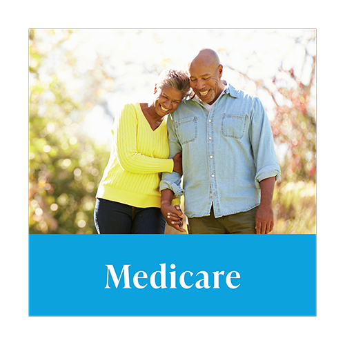 Gallery Image Medicare_Category-20240305_052618548.png